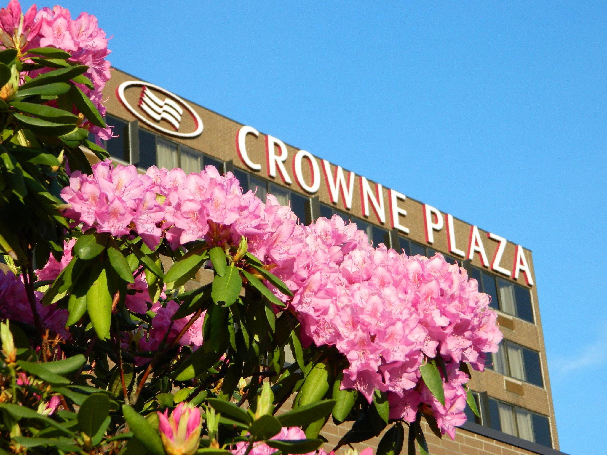 Crowne Plaza Danbury, An Ihg Hotel Esterno foto